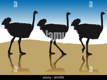 Ostrich in profile Stock Vector