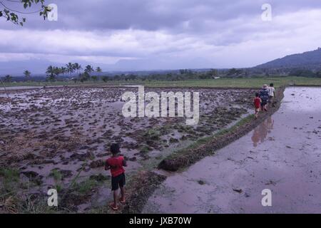  Rural village and Indonesian children playing in rice 