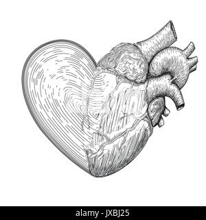 Heart symbol with half real human heart together. Hand drawn like fingerprint print. Design element for Valentine's day. Tattoo black linear art. Deco Stock Vector