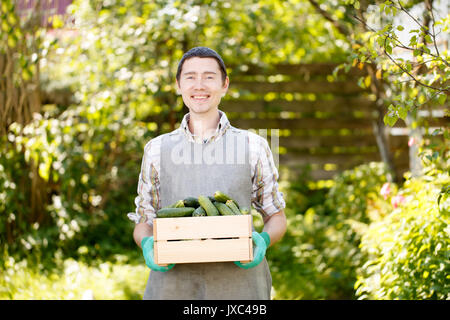 Photo of brunet holding box with cucumbers in summer,afternoon Stock Photo