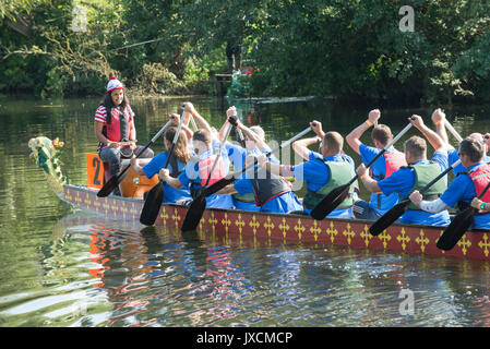 Dragon Boat racing on the River Avon, Warwick, England. United Kingdom. Stock Photo