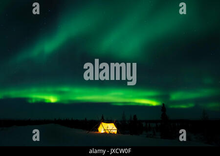 Nightsky and trappers tent lit up with aurora borealis, northern lights, wapusk national park, Manitoba, Canada. Stock Photo