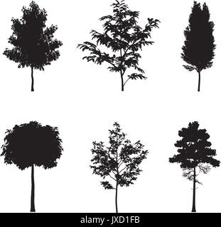 Vector illustration of tree silhouettes   Stock Vector