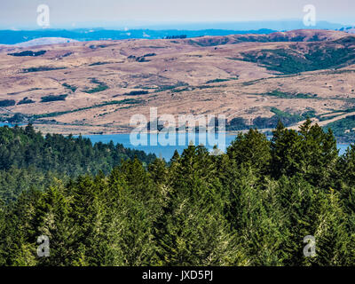 tomales bay from horse trail, pt reyes national seashore, ca us Stock Photo