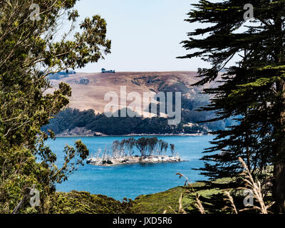 island in tomales bay, pt reyes national seashore, ca us Stock Photo