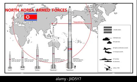Infographics of North Korea armed force - Vector Illustration Stock Vector