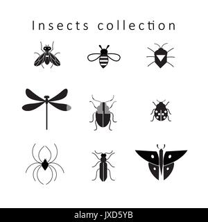 Vector set of different insects isolated on white background Stock Vector