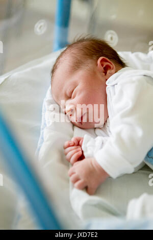 Beautiful newborn baby boy, laying in crib in prenatal hospital Stock Photo