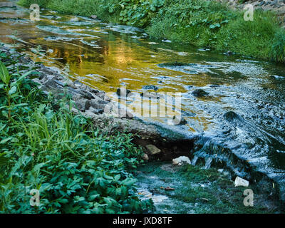 The river is polluted by green algae and plastic cups. The center of the city. Belarus. Stock Photo