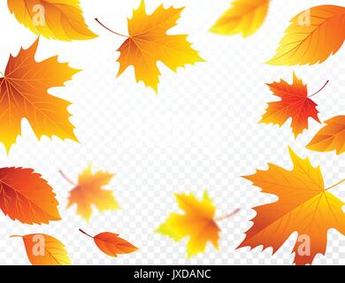 Autumn falling leaves on transparent checkered background. Autumnal foliage fall leaf flying in wind motion blur. Vector illustration Stock Vector