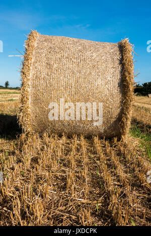 Round bales of hay - or hay rolls - in a farm field after the summer harvest, Langtoft, near Peterborough, Lincolnshire, England, UK. Stock Photo