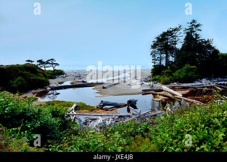 Olympic National Park has three distinct ecosystems which are sub-alpine forest and wildflower meadow, temperate forest, and rugged Pacific Shore. Stock Photo