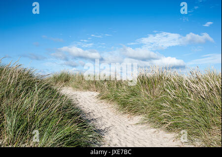 Sand dunes in Blavand, Denmark Stock Photo