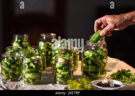 The process of preparation of salty cucumbers for canning Stock Photo