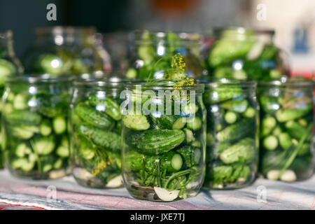 The process of preparation of salty cucumbers for canning Stock Photo