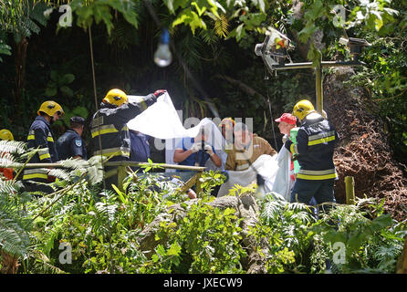 Lisbon, Portugal. 15th Aug, 2017. Rescuers work at the site where a 200-year-old oak tree collapsed during a religious procession on the Portuguese island of Madeira, Portugal, on Aug. 15, 2017. Thirteen people are now confirmed dead and dozens of others injured after a large tree collapsed on the Portuguese island of Madeira around midday Tuesday, local media reported. Credit: Helder Santos/Xinhua/Alamy Live News Stock Photo