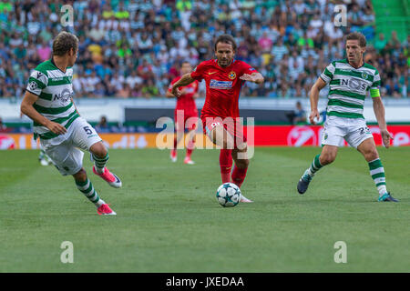 Lisbon, Portugal. 15th Aug, 2017. Steauas forward from Romania Denis Alibec  (7) in action during the game Sporting CP v FC Steaua Bucuresti Credit:  Alexandre Sousa/Alamy Live News Stock Photo - Alamy