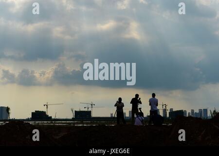 Qingdao, Qingdao, China. 15th Aug, 2017.  Red-necked phalaropes migrate to Jiaozhou Bay Wetland in Qingdao, east China's Shandong Province, August 15th, 2017. Credit: SIPA Asia/ZUMA Wire/Alamy Live News Stock Photo