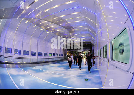 (170816) -- GUANGZHOU, Aug. 16, 2017 (Xinhua) -- Passengers look at an exhibition at the cultural corridor in the Baiyun International Airport of Guangzhou, capital of south China's Guangdong Province, Aug. 16, 2017. Guangzhou Baiyun International Airport, together with the provincial museum, held a public exhibition themed on the Maritime Silk Road, the first one at the historical cultural corridor which officially opened here Wednesday. (Xinhua/Liang Xu)(wjq) Stock Photo