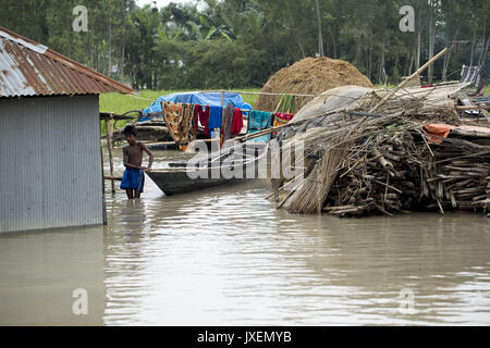 Dhaka, Bangladesh. 16th Aug, 2017. A boy in front his house when continuous flooding in Kajla area at Bogra. Peoples' suffering continues as many of them left their homes along with their cattle, goats, hens and other pets and took shelter in safe areas and many of these people have still not been able to return as water has not fully receded from their homes. Flood-related incidents in Dinajpur, Gaibandha and Lalmonirhat raising the death toll to 30 in the last three days across the country. Credit: K M Asad/ZUMA Wire/Alamy Live News Stock Photo