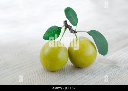 Paired fruits. Two plums on one stalk with green leaves. Wooden background. Stock Photo