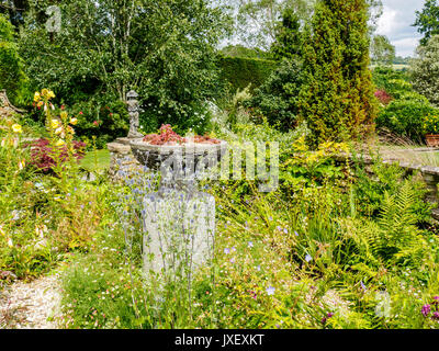 The Millennium Garden, part of Burrow Farm Gardens, Devon's Secret Garden at Dalwood near Axminster is the creation of Mary Benger. Stock Photo