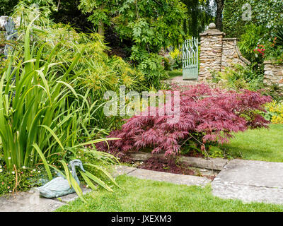 The Millennium Garden, part of Burrow Farm Gardens, Devon's Secret Garden at Dalwood near Axminster is the creation of Mary Benger. Stock Photo