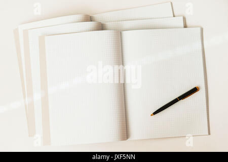 Close-up of pen on a background of large open blank and empty notebooks in a cage, top view, texture. Place for text, concept of starting school and any new cases Stock Photo