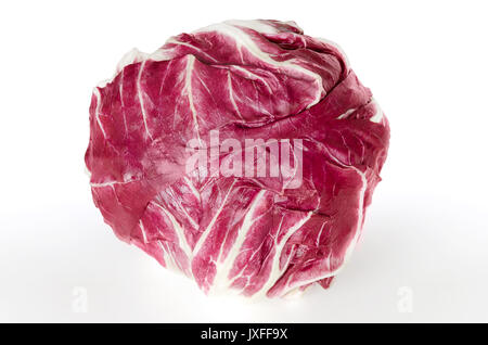 Radicchio front view over white. Italian chicory. Cultivated form of leaf chicory, Cichorium intybus. Leaf vegetable with white veined red leaves. Stock Photo