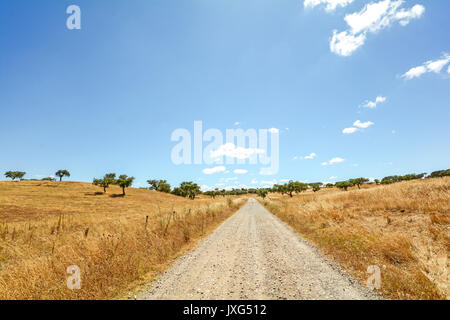 Gravel road through hilly Alentejo landscape with cork oak trees and yellow fields in late summer near Beja, Portugal Europe Stock Photo