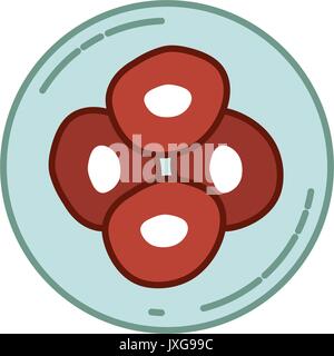 color silhouette of front view division of the ovule in cells Stock Vector