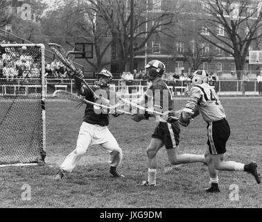 Lacrosse Action shot taken during an unidentified lacrosse match at Homewood campus, Hopkins players and a member of the opposing team are going after the ball, 1950. Stock Photo