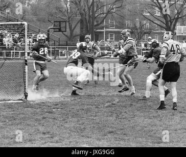 Lacrosse Action shot taken during an unidentified lacrosse match at Homewood campus, Hopkins players and members of the opposing team are scuffling over the ball, 1950. Stock Photo