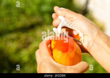 Hand holding and peeling kaki (Fuyu persimmon) fruit Stock Photo