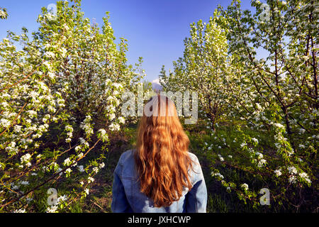 Woman in with red hair in the garden with cherry blossom trees at sunset Stock Photo