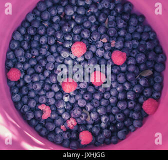 Close-up of fresh just picked blueberries with few raspberries in a pink bucket Stock Photo