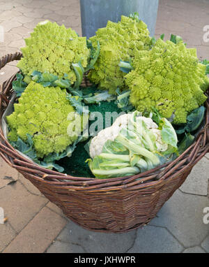 Cauliflower (Brassica oleracea var. botrytis 'Romanesco') Stock Photo