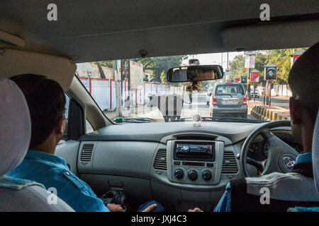 Looking out the windshield of a car from the back seat while driving in Agra, India with a cow in the road. Stock Photo