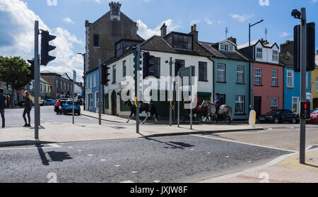 Horses being ridden through Donaghadee Stock Photo