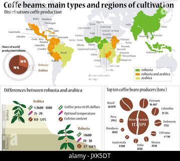 Coffee info. Coffee beans: Main types and region of cultivation. Stock Vector