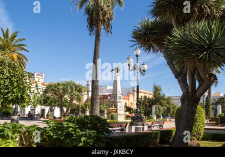 Trees around Plaza de la Angustas, Jerez de la Frontera, Spain Stock Photo