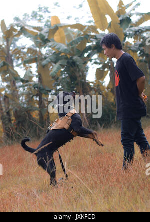 A man who was training his dog Stock Photo