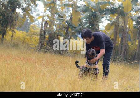 A man who was training his dog Stock Photo