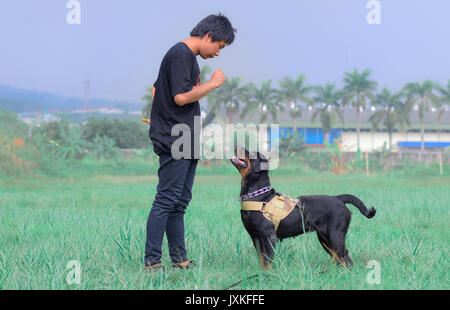 A man who was training his dog Stock Photo