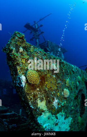 Underwater photography: Shipwreck in Roatan Stock Photo