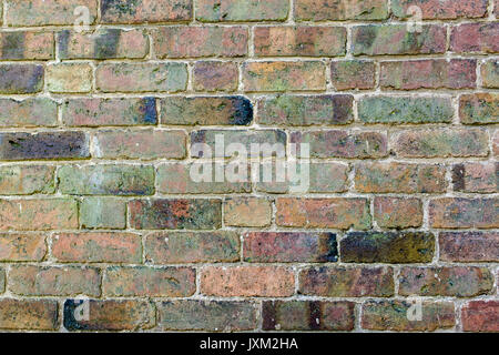 Red brick wall, straight on. Stock Photo