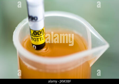 Detail shot of a hydrometer in a hydrometer jar measuring the final gravity of home-brew beer Stock Photo