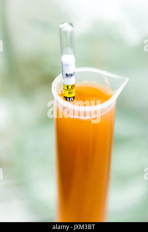Detail shot of a hydrometer in a hydrometer jar measuring the final gravity of home-brew beer Stock Photo