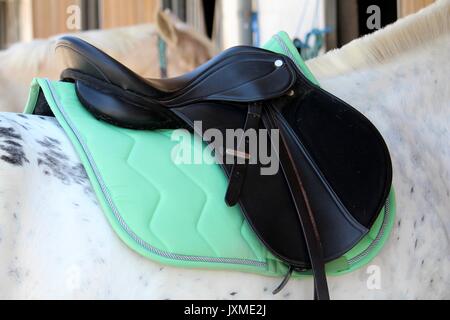 A black saddle and a green carpet placed on the back of the white horse Stock Photo