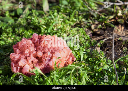 Red gemstone mineral on grass Stock Photo